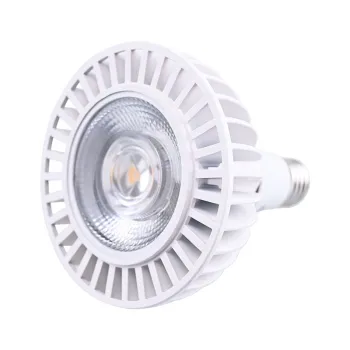 High-Power AC100-240V LED PAR Lights: PAR20, PAR30, PAR38 Bulbs with COB Technology
