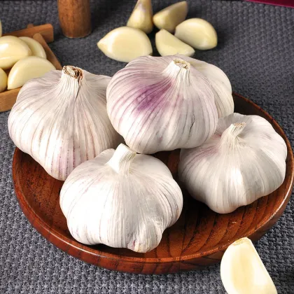Multi specification fresh organic garlic