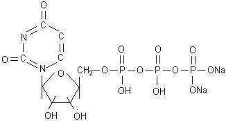 Uridine triphosphate trisodium