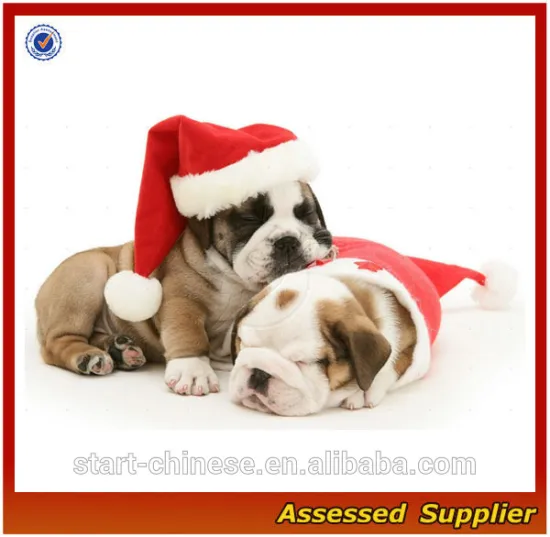 ZD541 santa claus christmas hats for dog