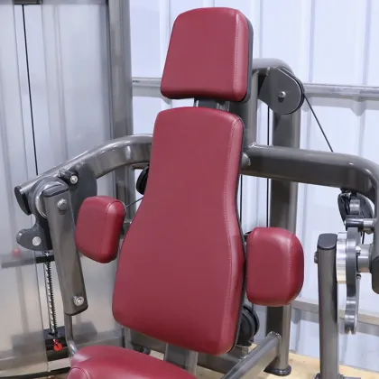 Gym Equipment Seated Arm Biceps Curl Machines Traininng