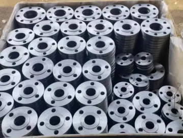 Gost33259 Type01 Plate Forging Flange