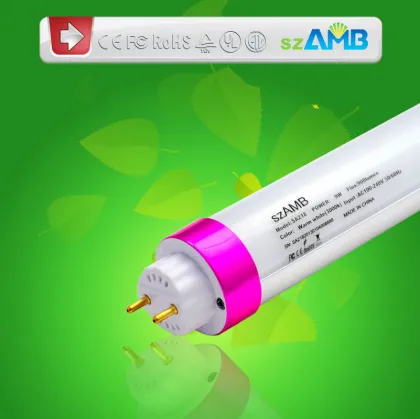 9w Ac185-277v Smd Led Fluorescent Tubes , Everlight 3528 T8 Led Tubes