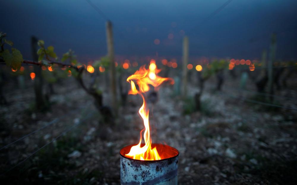 Velas anticongelantes para proteger as culturas