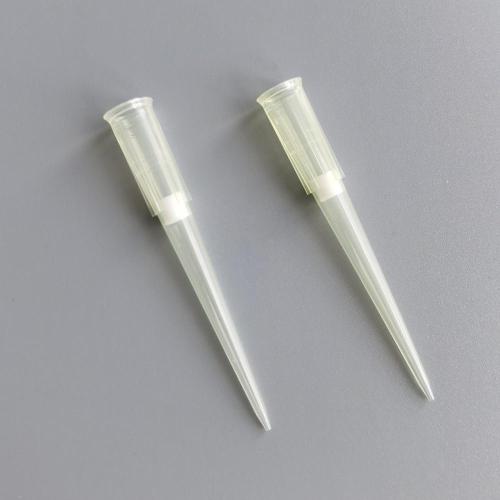 Pièce de filtre pipette Universal 200Ul 1000ul