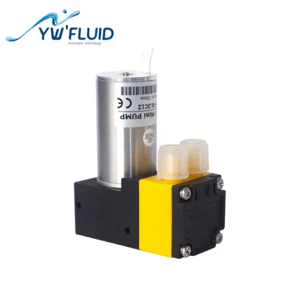 Single Head Oil-free Fresh Water Pump 320ml/min