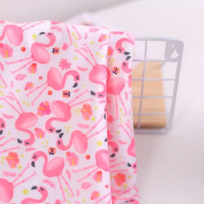 Wholesale Printed Minky Fabric Baby Blankets - Super Soft 100% Polyester Minky Blankets for Babies