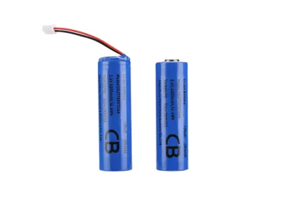 Lithium-ion Battery Cells for Tesla: Samsung Molicel, Lishen 21700 4800mAh/5000mAh