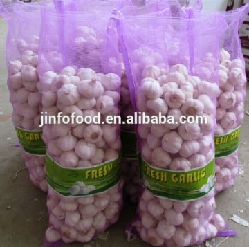 Chinese garlic