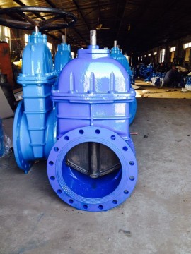 Bigger Sizes Rubber Wedge Gate Valve F4 Pn 10/16
