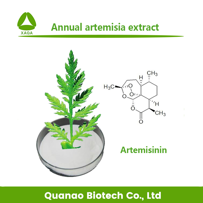 Artemisinina 99% polvo de extracto de artemisia anual contra la malaria