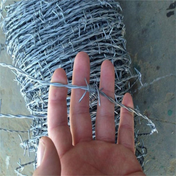 12 * 12 Double Twist Barbed Wire per recinzione