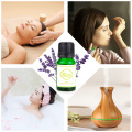 Waarm Verkaf Lavendel Essential Oil Doft