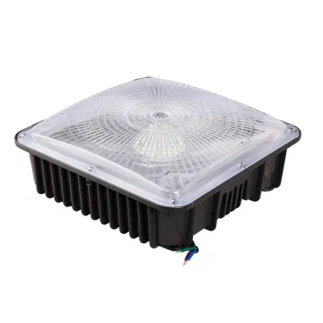 High-Quality Private Mould Outdoor Waterproof LED Canopy Lights with Aluminum Housing in 50W, 60W, 75W, 80W, and 100W