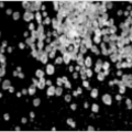 Süßstoffnahrungsmittel Grade Erythritol