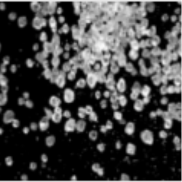 Sweetener Food Grade Erythritol