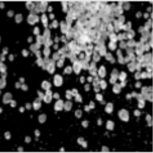 Sweetener Food Grade Erythritol