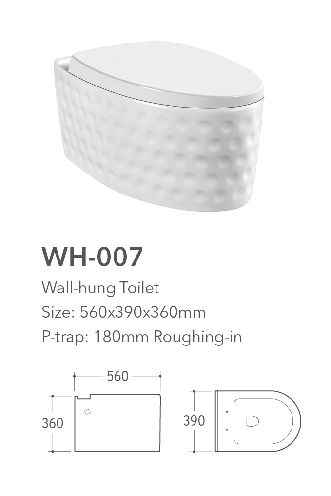 Wh 007 Wall Hung Toilet