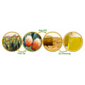 ウチワサボテン種子油/サボテン種子油の卸売