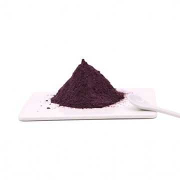 Improving immunity elderberry extract powder