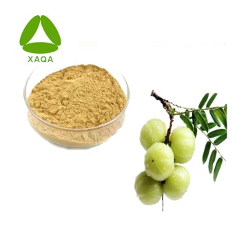 Phyllanthus Emblica Fruit Extract Powder 10:1