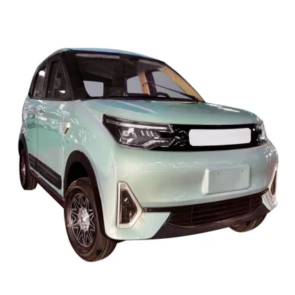 2023 MINI EV CAR Hot Sale: New Style ORA Electric Car 2024
