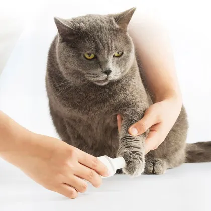 Portable Mini Electric USB Pet Nail Polisher