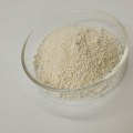 High quality pumpkin seed protein powder