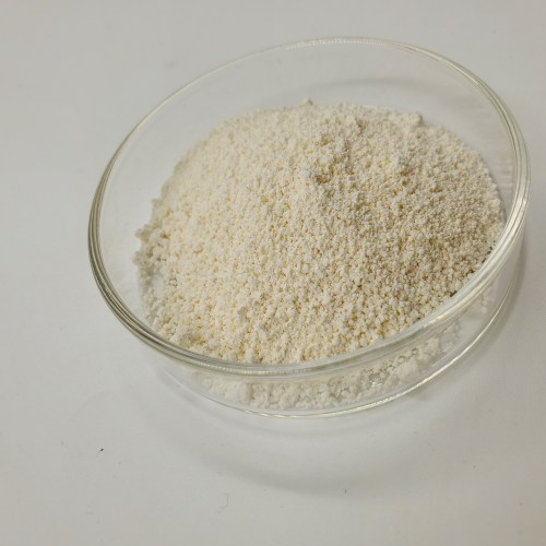 High quality pumpkin seed protein powder