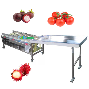 Multi-Fruit and Vegetable Grading Machine: Garlic, Onion, Cherry, Orange, Walnut, Avocado, Kiwi, Mangosteen