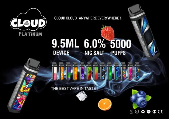New Arrival 5000 puffs disposable electronic cigarette