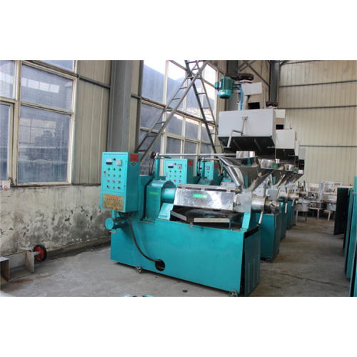 Peanut oil manufacturing machine