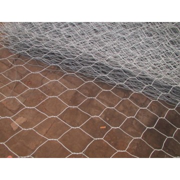 Kotak Wire Mesh Heksagonal Pabrik Nyata untuk Dijual