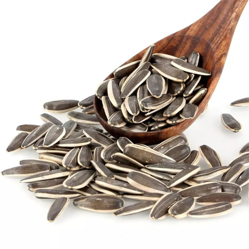 Big size Sunflower seeds Type 363