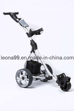 2014 Topsun Golf Cart (S1T)