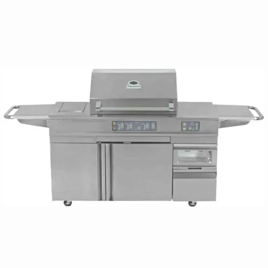 5 Burners Barbecue Gas Grill With Electric Oven And Refrigerator