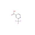 2- (trifluoromethyl) isonicotinic एसिड फार्मा इंटरमीडिएट