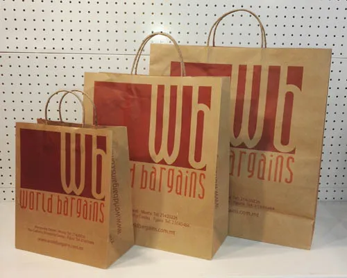 Paper Twisted Handle Paper Bag-Wordbargin