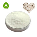 Kidney Bean Extract Powder 10:1 Phaseolin 1% 2%