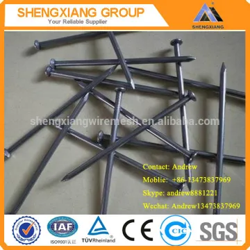 Sharp Point Polished/Galvanized Common Nails (Factory)