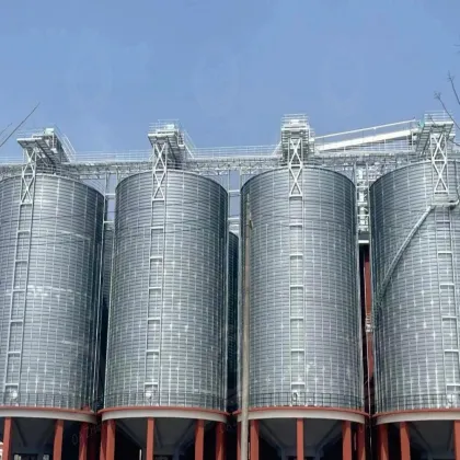 High Capacity Iron Ore Storage Silo