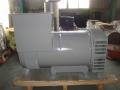 Alternatore generatore Brushless tipo 1500 o 1800 giri/min a tre fasi per facoltativo