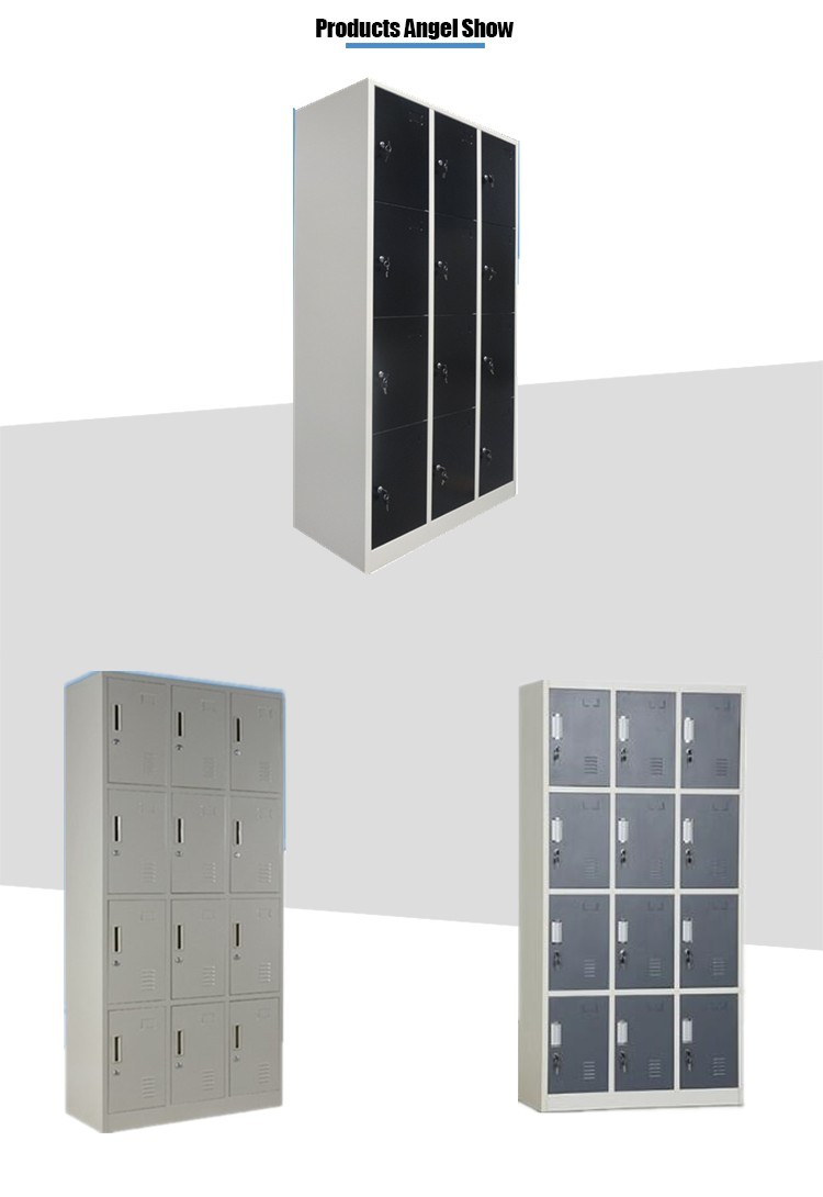 Steel Twelve Door Locker