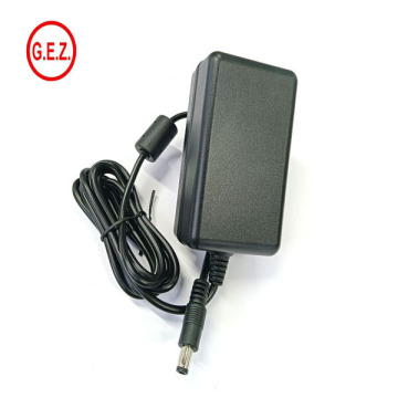 Niestandardowy adapter zasilający AC DC 24V 500MA