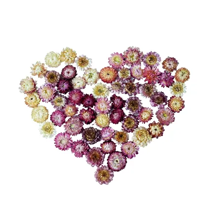 High Quality Scented Flower Tea - Chinese Blooming Chrysanthemum Tea