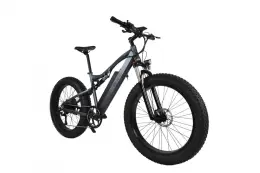E Bikes Fat Tire 1000 Watt Electric Bicycle