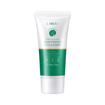 Wholesale Centella Facial Cleanser: Acne-Free Formula - Deep Cleansing Foam