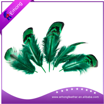 Dyed beautiful feather for lady decoration