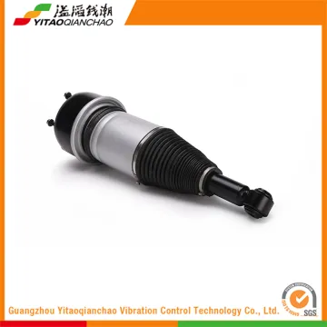 Wholesale High Quality Auto Bus Air Absorber