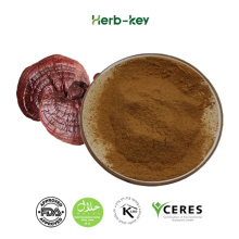 Ganoderma Lucidum Reishi Extract Plant Extract